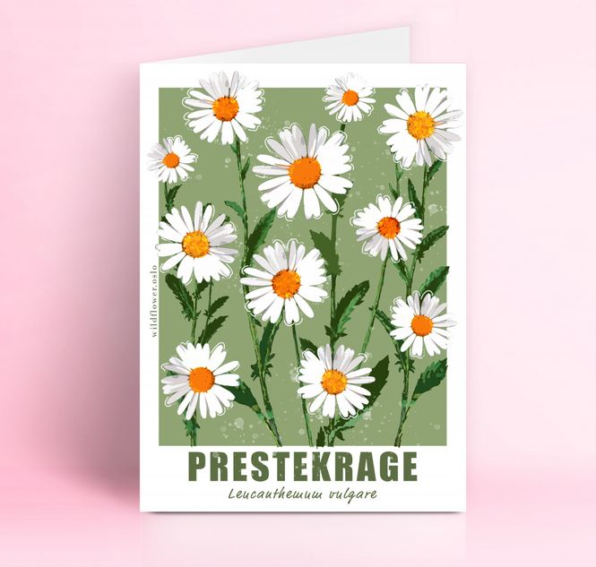 Hovedbilde Prestekrage A5 m/konvolutt