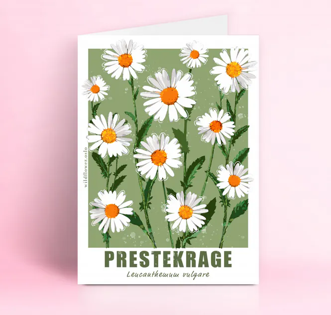 Hovedbilde Prestekrage A5 m/konvolutt