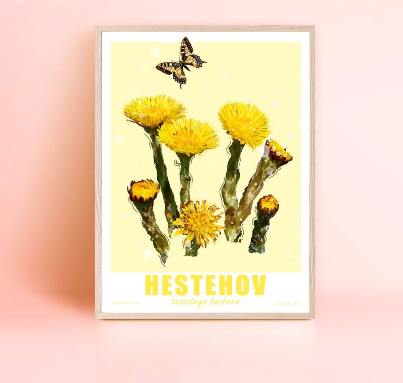 Hestehov 