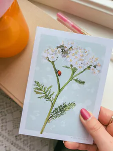 Hovedbilde Forundringspakker