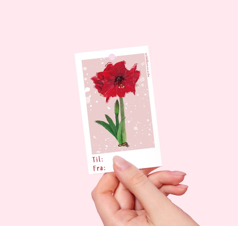 Amaryllis Pakkelapp